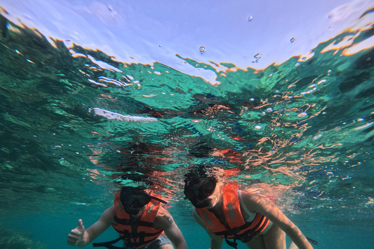 Isla Mujeres: Snorkel tour in 3 spots, Underwater Museum, and reefs! Isla Mujeres: Snorkeling tour in 3 spots, Underwater Museum and reefs!