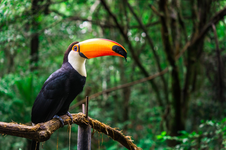 Puerto Iguazú: 3-Day Iguazú Falls with transfers + Boat Ride