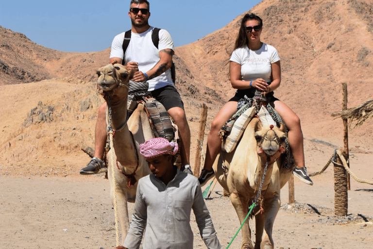 Hurghada: Desert Jeep Safari, Camel Ride, BBQ & Stargazing Without Quad: Desert Stargazing with BBQ Dinner