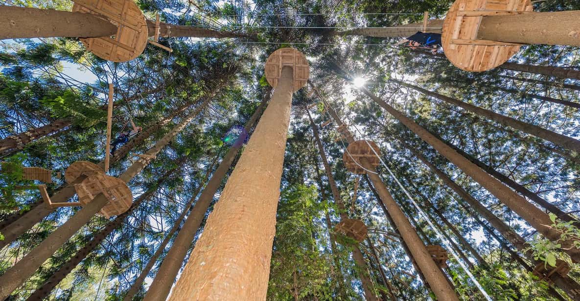 Tree Rope Course Plan Pennant Hills: Tree Ropes Course Session | GetYourGuide