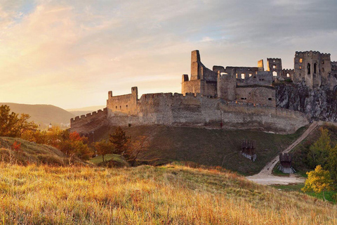 From Vienna/Bratislava: Castles, Čičmany & UFO Observation