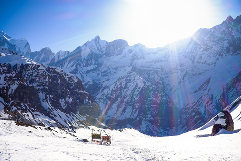 Annapurna Base Camp: 5-Day Guided Trek with Hot Spring