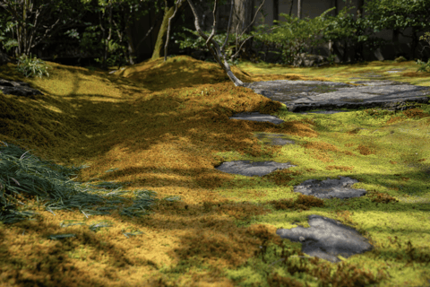 Kyoto: Meditação zen em um templo particular com um monge