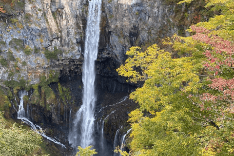 Tokyo: Tour privato di un giorno di Nikko, Patrimonio dell&#039;Umanità dell&#039;Unesco, e prelievo di campioni