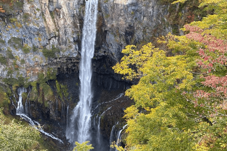 Tóquio: Nikko Patrimônio Mundial da Unesco - Tour particular de um dia e serviço de busca