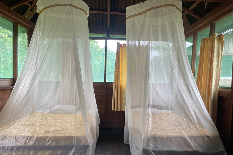 Da Cusco: 5 giorni di esplorazione e connessione nella Zona Riservata del ManuDa Cusco: 5 giorni di esplorazione e connessione nella Zona Riservata di Manu