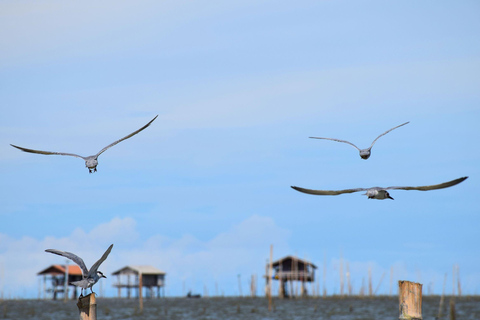 Targ Maeklong, tajemnice namorzynów, podróż inspirowana lotosem