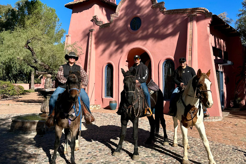 Tuscon: Rancho Cerros Horseback Riding Tout with Great Views