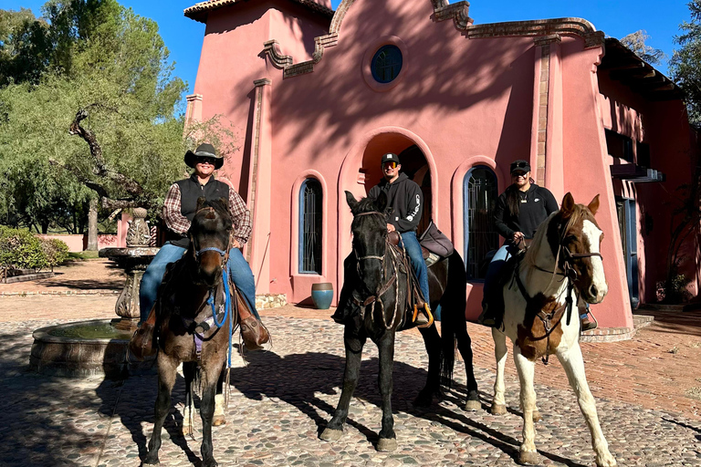 Tuscon: Rancho Cerros Horseback Riding Tout with Great Views