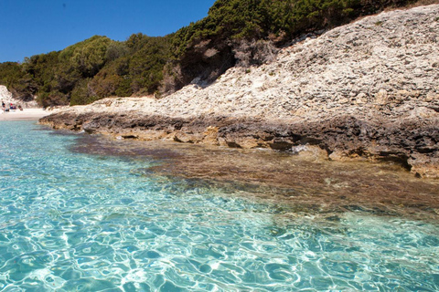 Desde Santa Teresa Gallura: excursión en lancha a Córcega