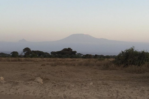 Au départ de Nairobi : Safari de 2 jours dans le parc national d&#039;Amboseli