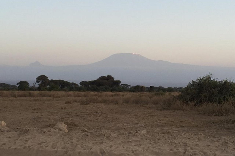 Au départ de Nairobi : Safari de 2 jours dans le parc national d&#039;Amboseli