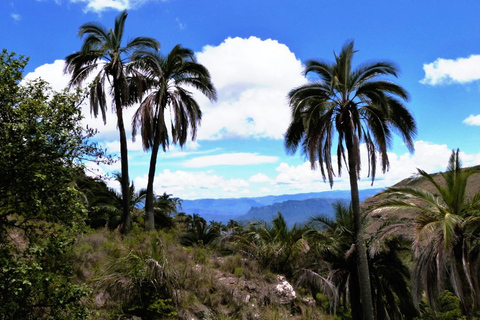 Sucre: 2 Days in El Palmar National Park & Yampara Villages
