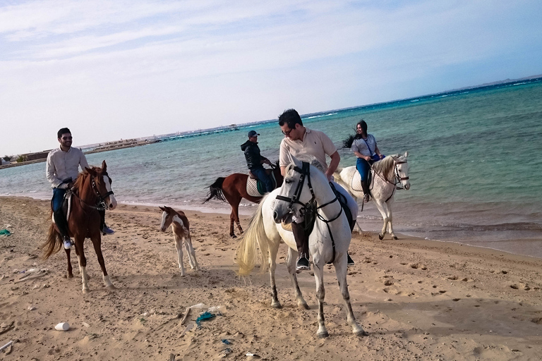El Gouna : Randonnée à cheval dans le désert et la mer avec baignade en option1 heure de quad + 1 heure d&#039;équitation — Combo double aventure