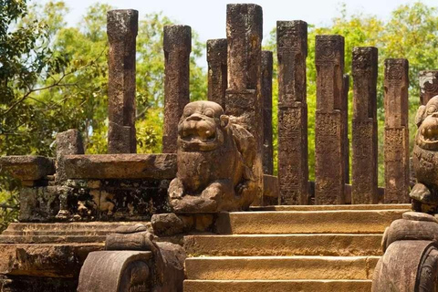 Sri Lanka : Circuit de 12 jours avec découverte du riche patrimoine