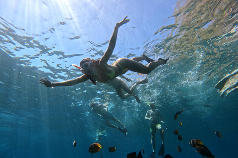 Nusa Penida: Manta Point & Turtle Point Snorkeling Sharing Manta Point Trip with Gamat Bay & Turtle Point