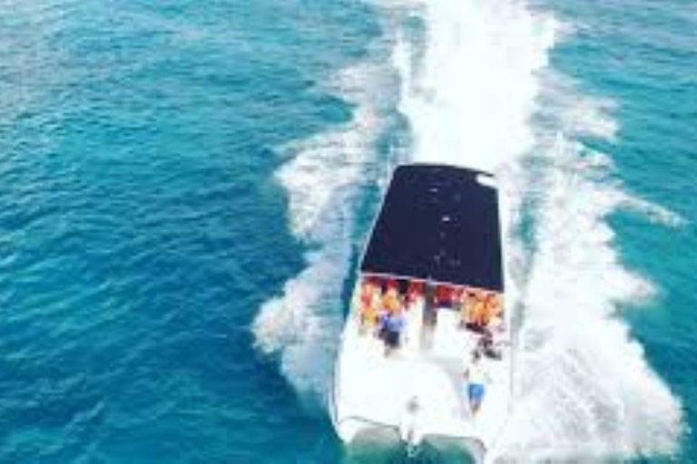 Punta Cana: Saona Island &amp; Buggy Adventure 2-Day Tour