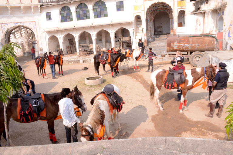 Avventura a cavallo a Jaipur