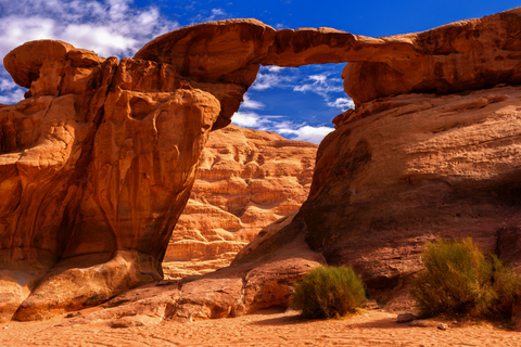 Aqaba : Transfert en voiture privée avec safari en jeep dans le Wadi Rum