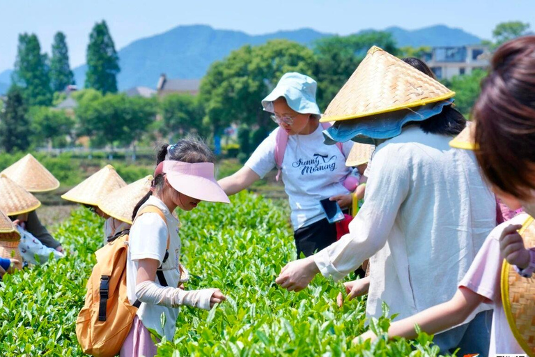 Hangzhou: Tea Village Tour with Tai Chi and Cooking Class