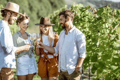 Visite privée de luxe : Sites antiques de Némée et dégustation de vin