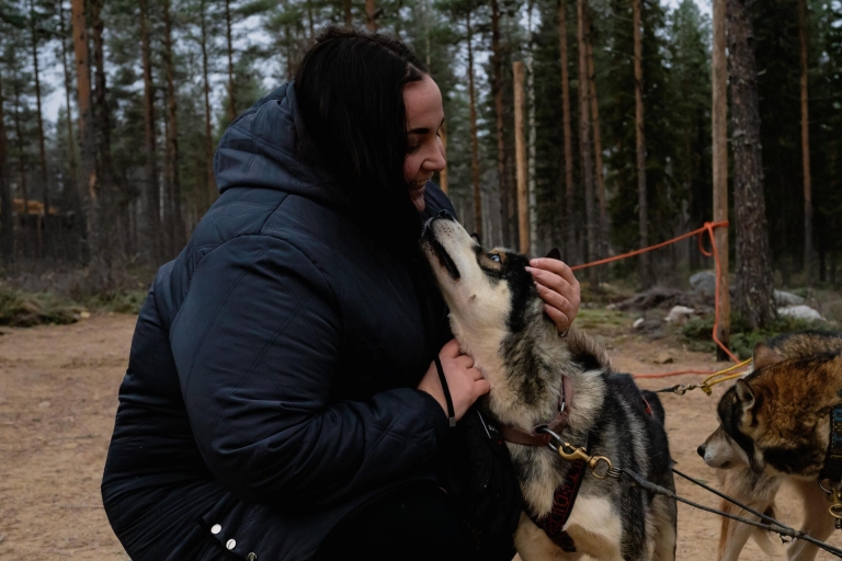 Best of Lapland: Santa Claus Village + Husky & Reindeer