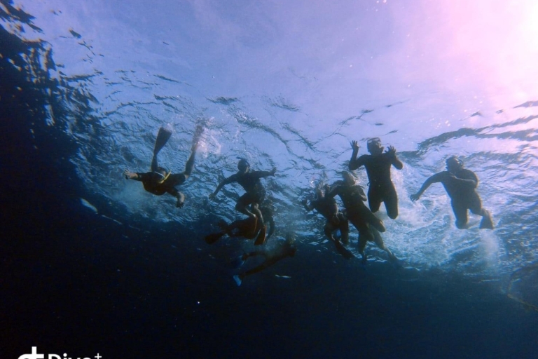 Wycieczka snorkelingowa z odbiorem i przewodnikiemWycieczka nurkowa z odbiorem i przewodnikiem
