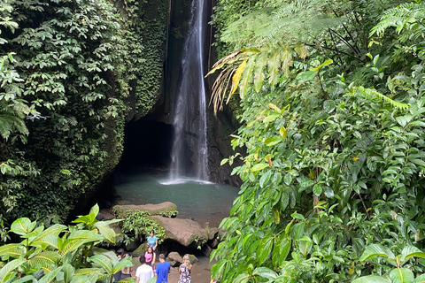 Bali: Foresta delle Scimmie di Sangeh, cascata e tour del tempioBali: tour della foresta delle scimmie di Sangeh, cascata e tempio