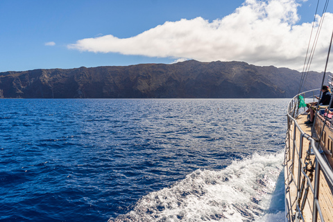 Da Funchal : Escursione in barca di legno all&#039;isola di DesertasTour con servizio di prelievo e rientro in hotel