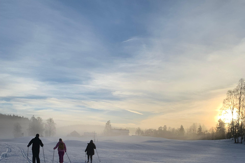 Oslo: Wilderness Skiing Tour with Lunch by the Fire