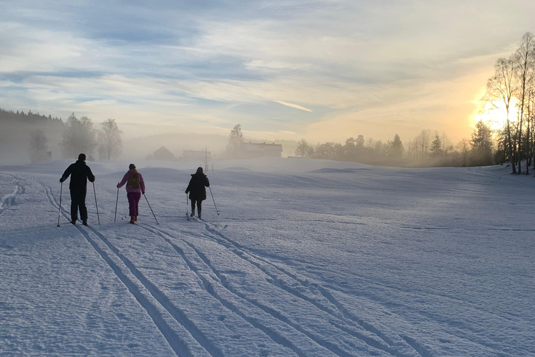 Oslo: Wilderness Skiing Tour with Lunch by the Fire