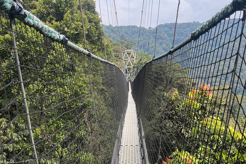 1 day: From Kigali, The canopy walk adventure at Nyungwe