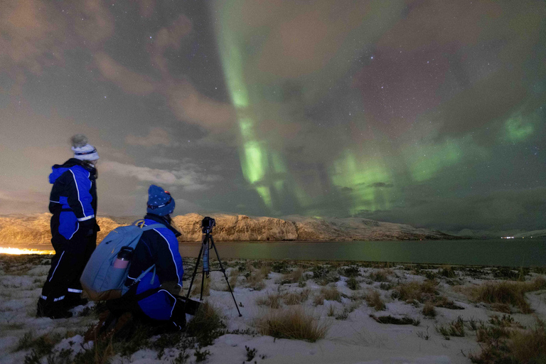 Tromsø: Northern Lights Tour with Local Guide