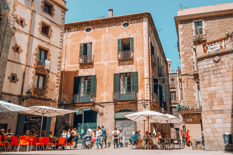 Barcelona: Introduction to the Gothic Quarter Walking Tour Private Tour (Max 20 Adults)