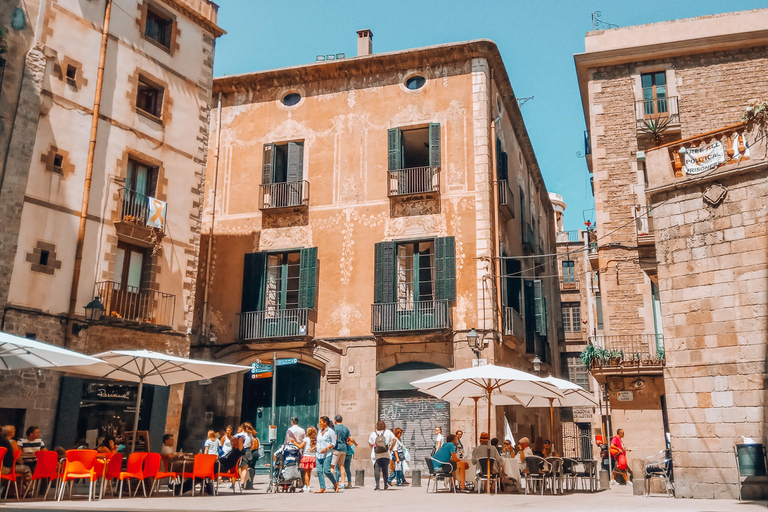 Barcelona: Introduction to the Gothic Quarter Walking Tour Private Tour (Max 20 Adults)