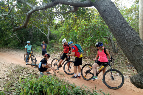 Indiana Jones: Guided Jungle Trails and Temples Bike Tour