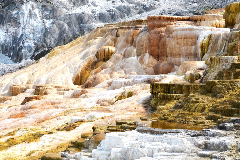 Yellowstone 2 Day Adventure - Upper and Lower Loop Tour