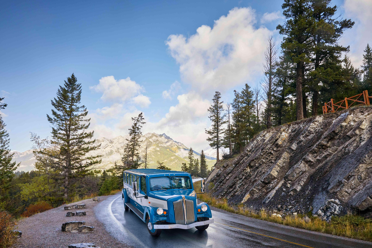 Banff: Vintage Car Open-Top Tour