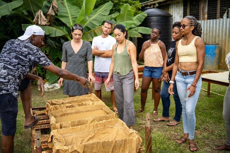 Check out the hidden ceramic gems in Barbados