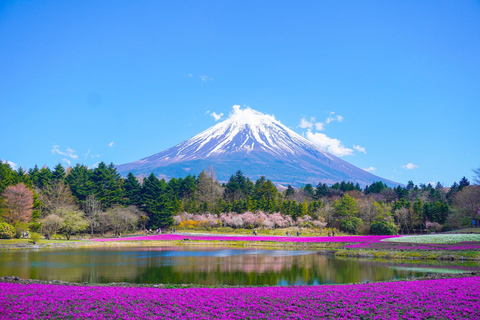 From Tokyo: Mount Fuji day Trip with English Speaking Driver From Tokyo: Private 1-Day Mount Fuji Charter with Driver