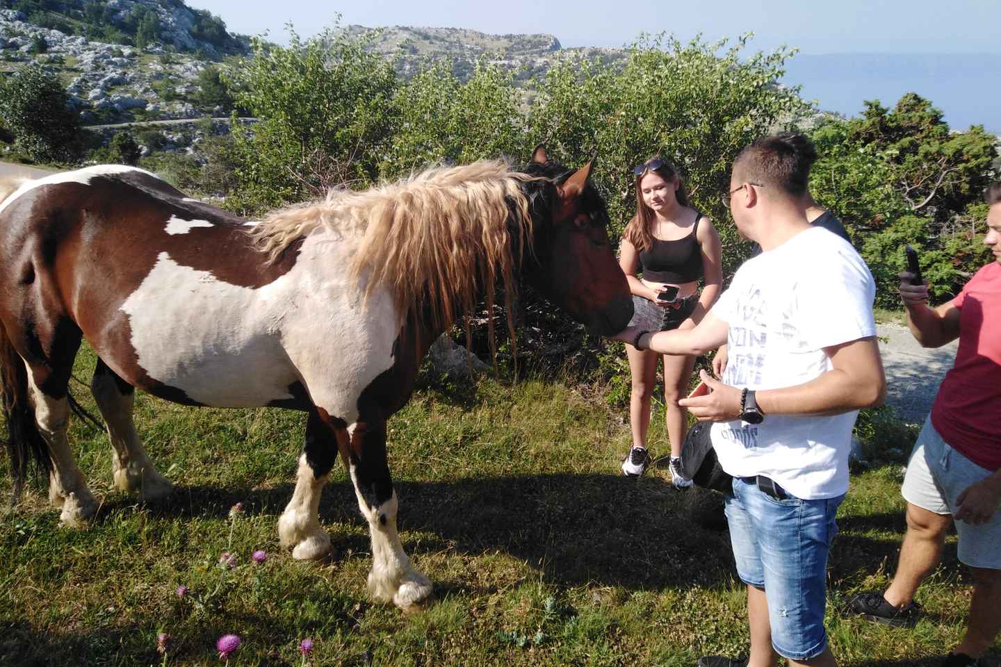 Aube au sommet du Biokovo