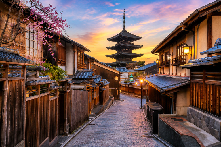 Kyoto/Osaka: Kyoto and Nara Private & Customizable Day Tour