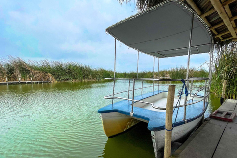 Dernier petit refuge de faune sauvage à Lima