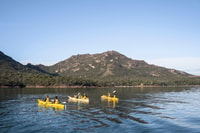 Die Freycinet Paddle Kayak Tour - Hizvo