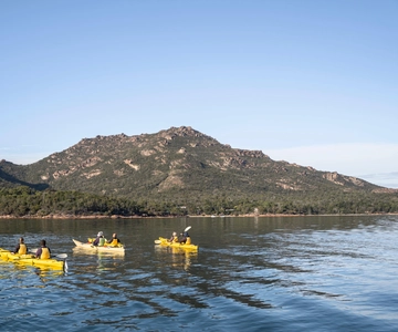 Excursion en Freycinet Paddle Kayak