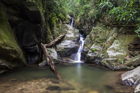 Rio de Janeiro: Tijuca National Park & Botanic Garden Tour