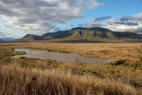 From Moshi: 1 Day Mkomazi Scenic Safari