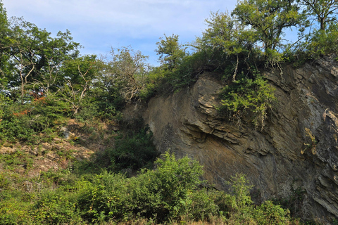 Boppard: geführte Wanderung auf der Traumschleife "Hasenkammer"