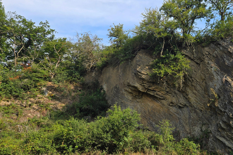 Boppard: geführte Wanderung auf der Traumschleife "Hasenkammer"