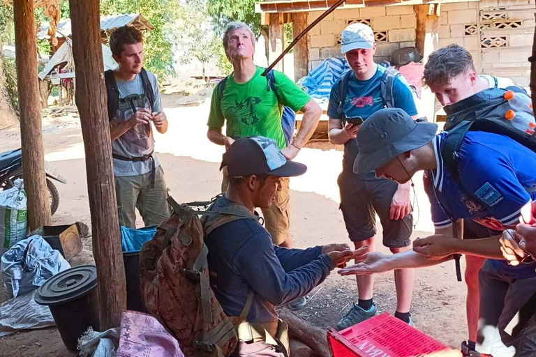 Chiang Mai: Jungle Trek, Elephants care & Bamboo Rafting